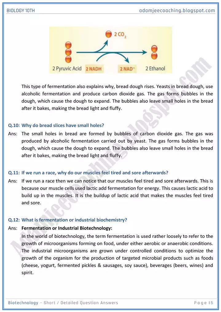 biotechnology-short-and-detailed-answer-questions-biology-10th