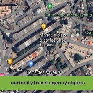 Curiosity travel agency algiers