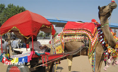 rajasthan tours and travels