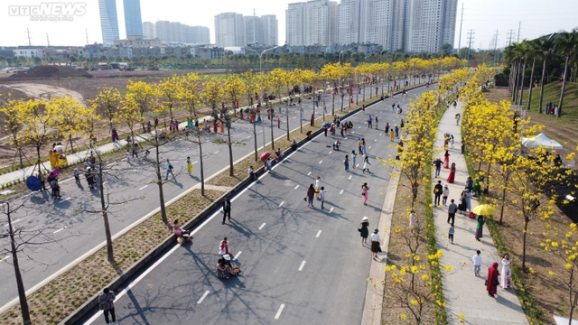Hà Nội mùa hoa sưa, <a href=