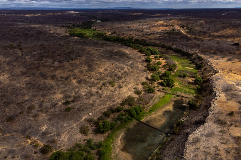 Rio Salitre, na Bahia, seca e ameaça sobrevivência de comunidades rurais