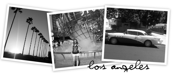 photovisi-download (8)