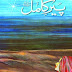 Peer-e-Kamil (S.A.W.W) Urdu Novel By Umera Ahmed 