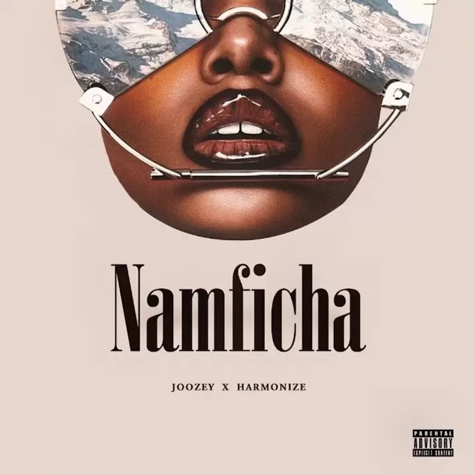 Download Audio : Dj Joozey Ft Harmonize - Namficha Mp3