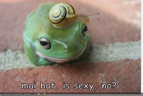 Funny Frog Photos 2011 | Funny Animals