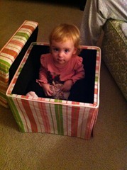 jack in the box
