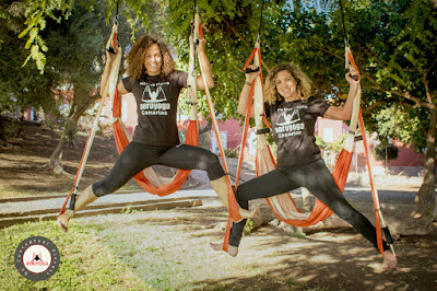 aerial yoga brasil