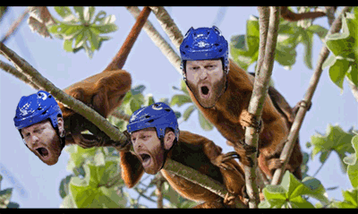 RaffiTorresIsAMonkey
