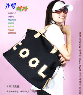Korean Handbag
