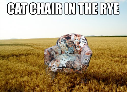 Cat Chair In The Rye