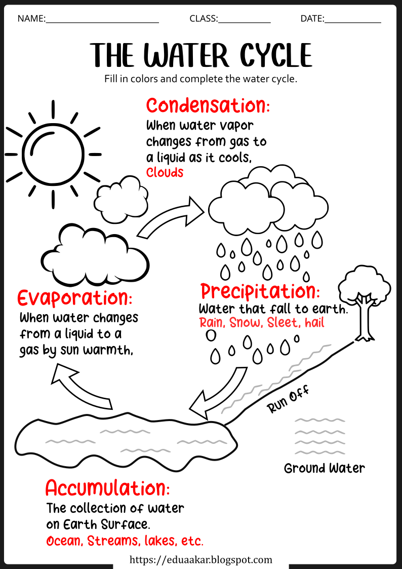 Interactive Water Cycle Worksheets and Activities