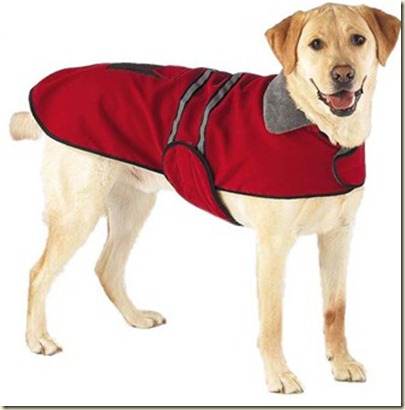 ropa para perros grandes-n