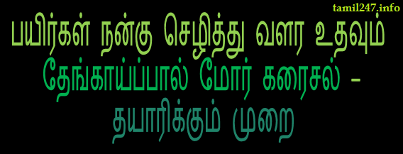 இயற்கை வளர்ச்சி ஊக்கி: பயிர்கள் நன்கு செழித்து வளர உதவும் தேங்காய்ப்பால் மோர் கரைசல் - தயாரிக்கும் முறை