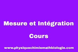 Cours Mesure et Intégration L3 PDF