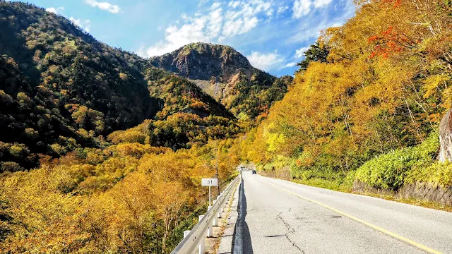 金精峠周辺が紅葉している時期に日光駅からいろは坂を上り中禅寺湖～竜頭の滝～小田代原～戦場ヶ原～湯の湖を経て金精峠を越え、吹割の滝に立ち寄り沼田駅まで下るサイクリングコース