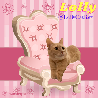 https://www.instagram.com/lollycatrex/