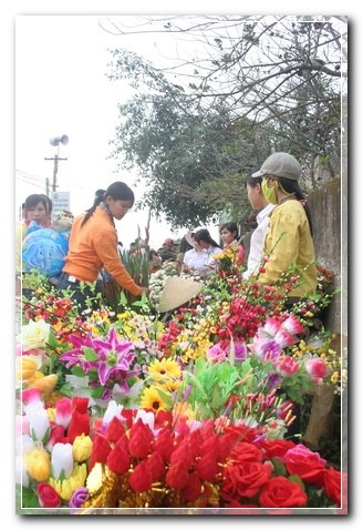 ImageView_005