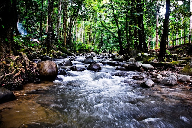 Taman Eko Rimba Kanching, Chongkak Park & Resort, Travel After MCO, Post MCO Travel SOP guidelines, tourism selangor, cuti cuti malaysia, travel selangor, selangor travel, travel