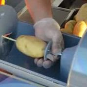 Fried Potato On The Stick.