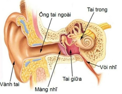 Cách phát hiện trẻ bị viêm tai giữa và hướng xử lý