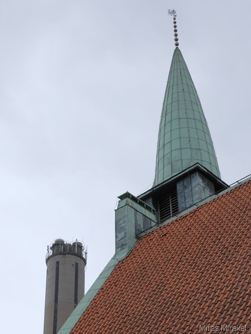 _DSC0562hh