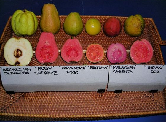 Varieties of Guava