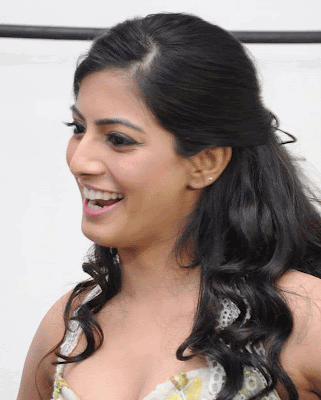 Varalakshmi's Hot And New Wallpapers