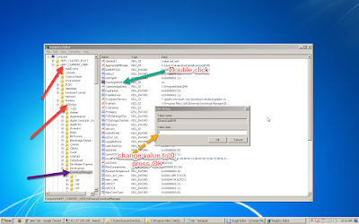 change registry values to fix fake serial number idm