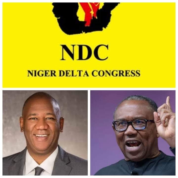 #Nigeria2023: Niger Delta Congress (NDC), Endorses Obi and Datti for presidency 2023