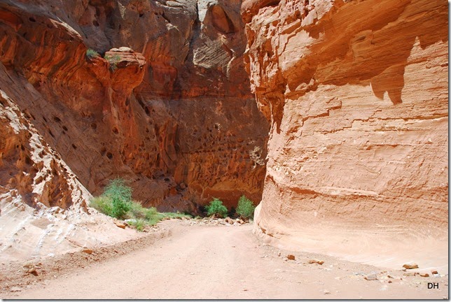 05-22-14 Capital Reef NP (111)
