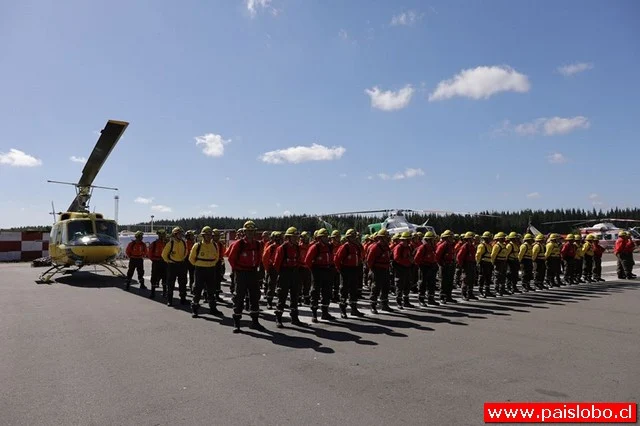 756 incendios han combatido empresas forestales