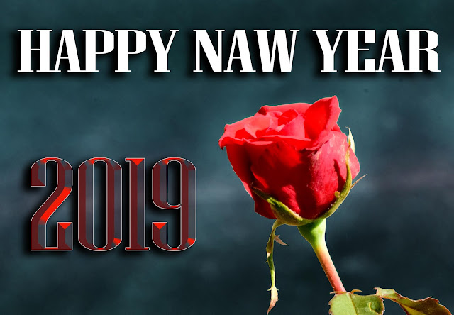 Happy New Year 2019, happy new year 2019 3D images, happy new year 2019 4K images, happy new year 2019 HD images, happy new year 2019 images, happy new year 2019 PNG images, happy new year 2019 PSD images,