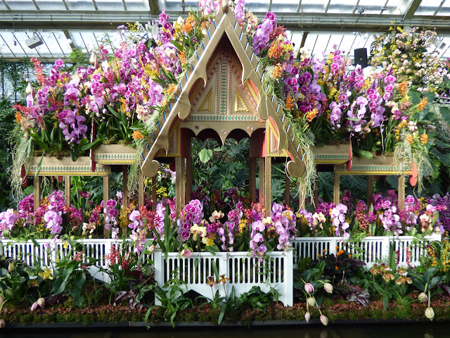 Orchid Festival at Kew Gardens Princess of Wales Conservatory 2018