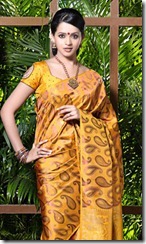 Bhavana Beautiful  Saree Photoshoot Photos