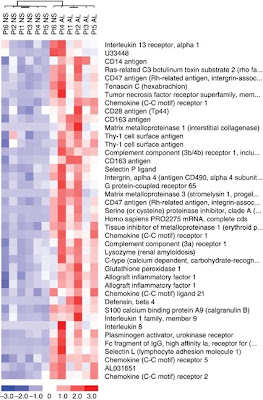 Genes Involved in Inflammatory Acne Lesions