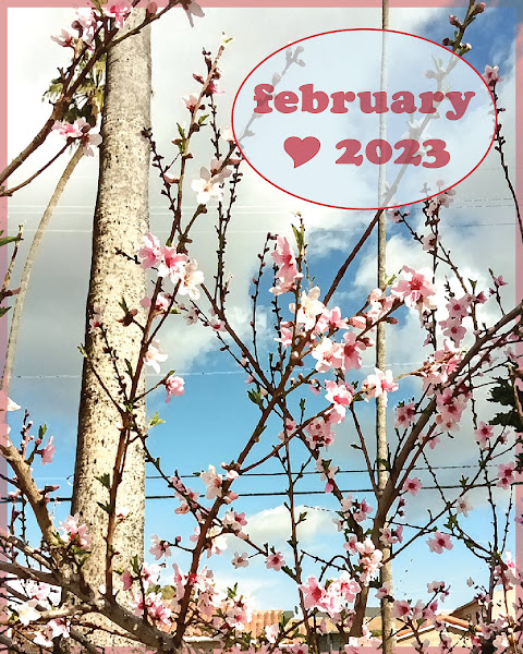 February Peach Blossoms