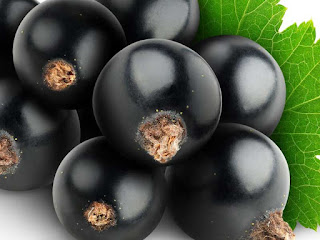 blackcurrant fruit images