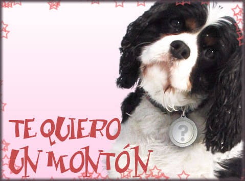 14f- te amo) (4)
