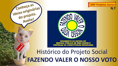Imagem com a gata Lady Miau apresentando o conteúdo "Histórico do projeto social Fazendo Valer o Nosso Voto".