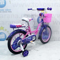 16 rmb paris kids bike