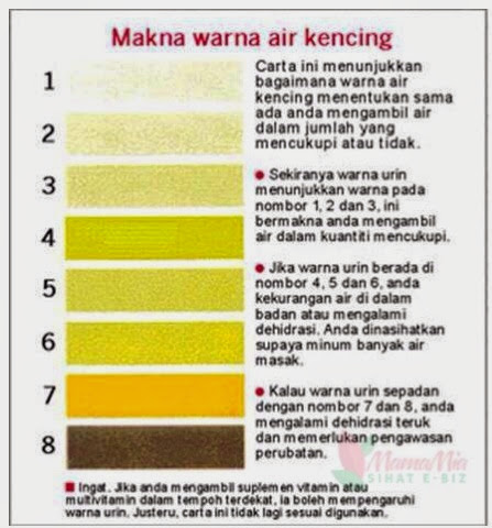 ::.MamaMiaBLOG.:: OH TIDAK! URIN JADI WARNA KUNING SELEPAS 