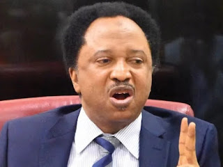 Northern security better under Tinubu – Shehu Sani