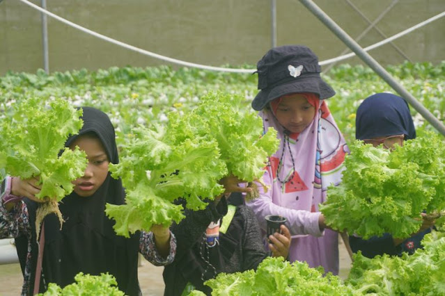 LOKASI OUTBOUND ANAK TERBAIK DI EDUKIDZMENT LEMBANG