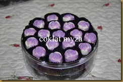 Coklat 1.4.2011 006