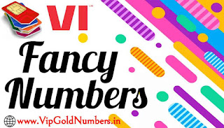 Vi Fancy Numbers