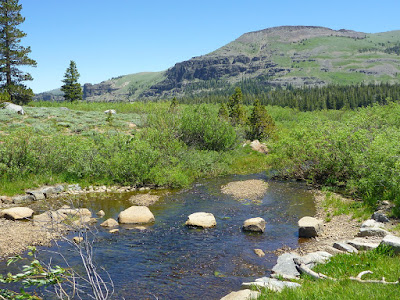 Pacific Crest Trail in Meiss County