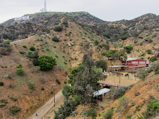 View northwest from Hollyridge Trail toward Mt. Lee