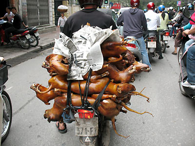 Funny vehicle ride only in Vietnam