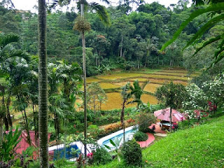 villa luas besar kolam renang bogor sukabumi