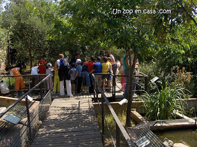 Visita escolar al centro de l'Albera